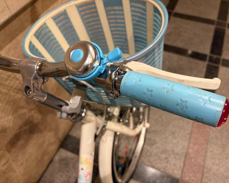 ブリジストン　エコパル-22インチjunior-手渡しのみでお願いします