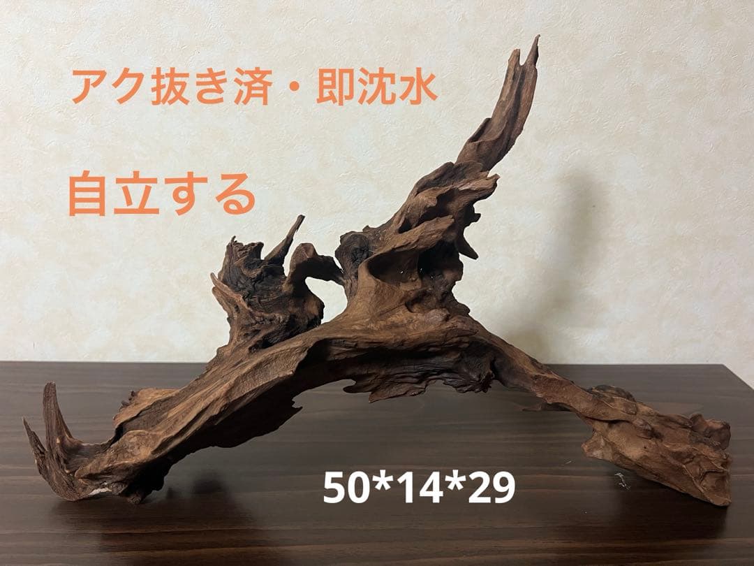 HX-057流木　マシンガンウッド　ホーンウッド アクアリウム　ブランチウッド