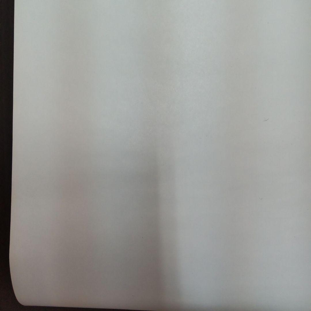 非売品未使用告知用B2ポスター迷宮物語（巻き癖細な巻き皺裏面上部僅かな汚れあり)