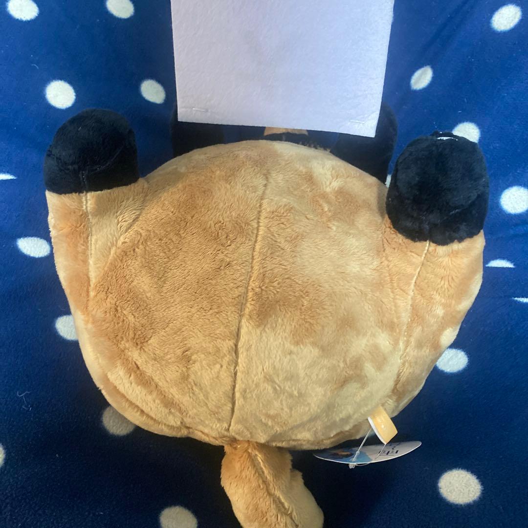 雨と君と BIGぬいぐるみ 『君』 犬 たぬき 狸