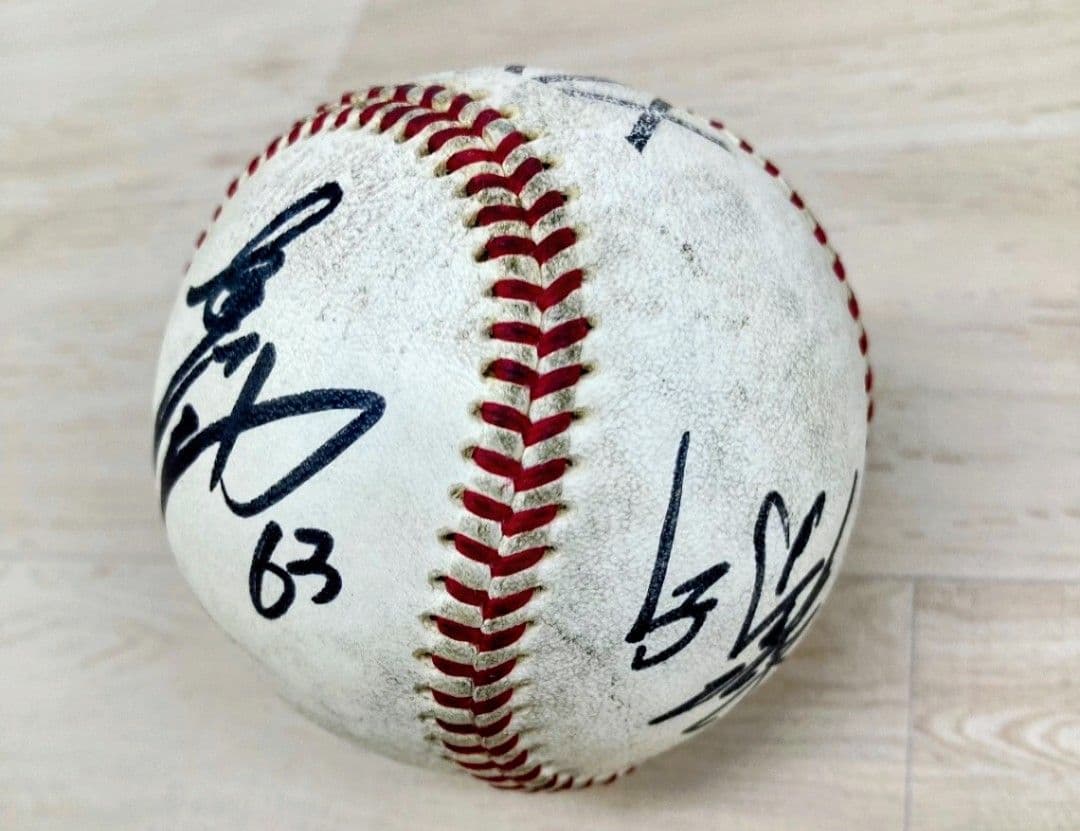 サインボール まとめ25個 オリックスバッファローズ 北海道日本ハムファイターズ