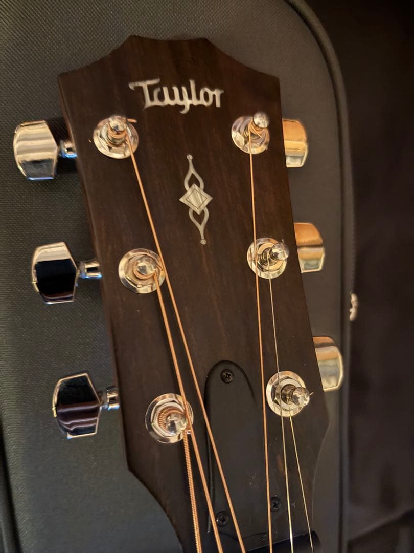 meromu　光栄堂　taylor 314ce Vクラス　日本限定仕様