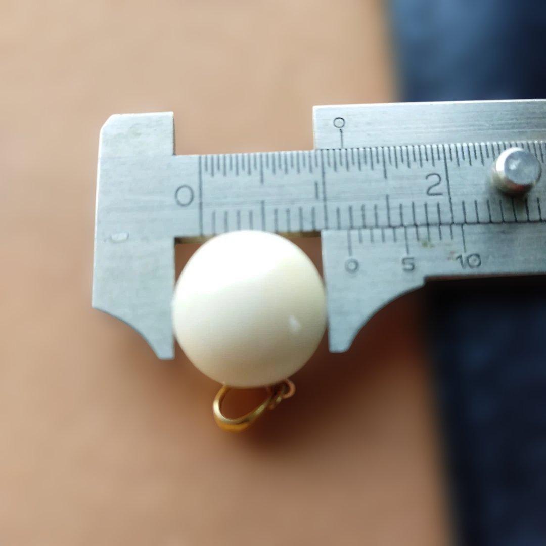 鯨歯　マッコウクジラ　牙玉ペンダントトップ　11.5㎜　10個　①