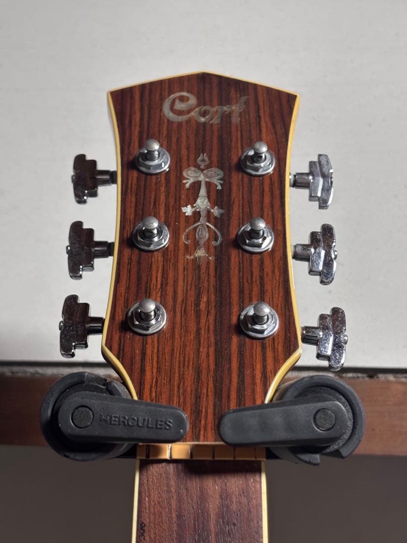 トップ単板、コルト　　セミジャンボ タイプアコースティックギター