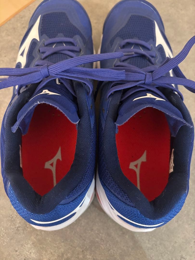 Mizuno Wave Lightning Z6 バレーボールシューズ