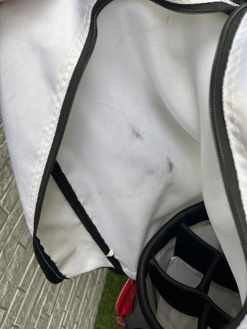 ワールドイーグル F-01α Rフレックス 10本セット＋スリクソンドライバー