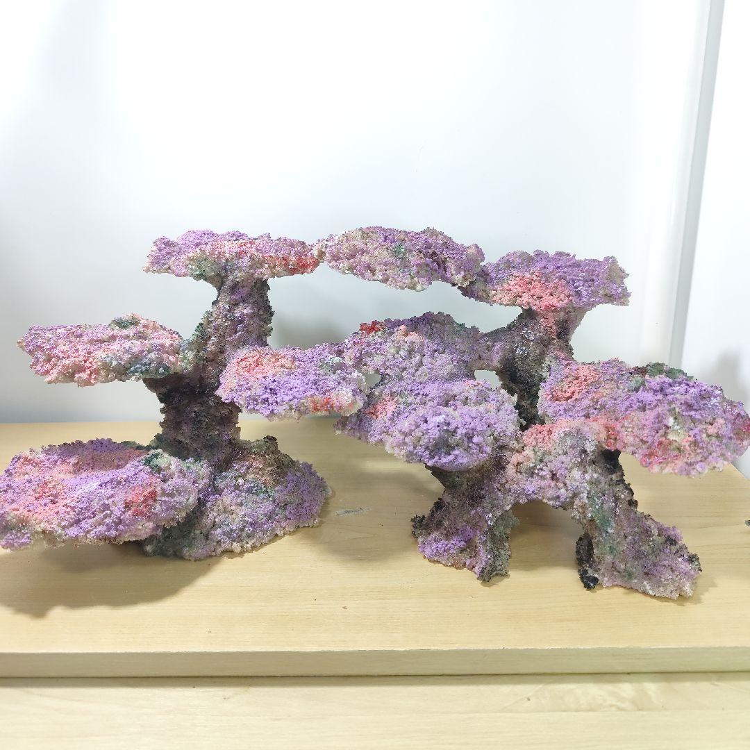 新品アク抜き不要 分離型人工ライブロック 60cm海水水槽用 レプリカ 多孔質2