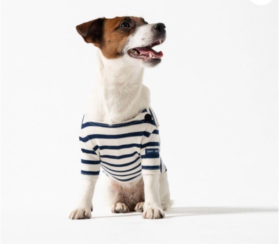 【新品未使用／日本未入荷】セントジェームス 犬服 Mサイズ　万博で大人気