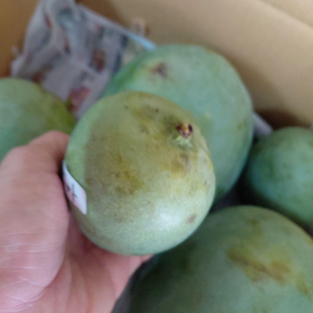 キーツマンゴー+ドット(ラスト)