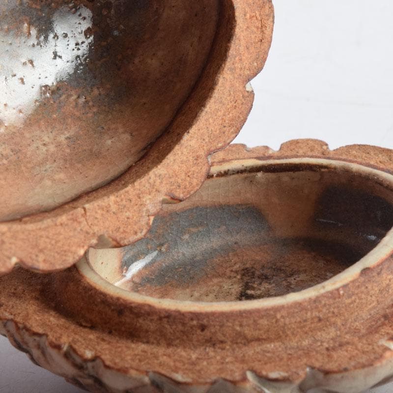 茶道具　萩焼　十三代　田原陶兵衛造　松実香合　共布共箱　V　8997