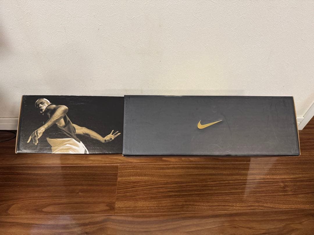 【お値下げ】美品！Nike Zoom LeBron 5