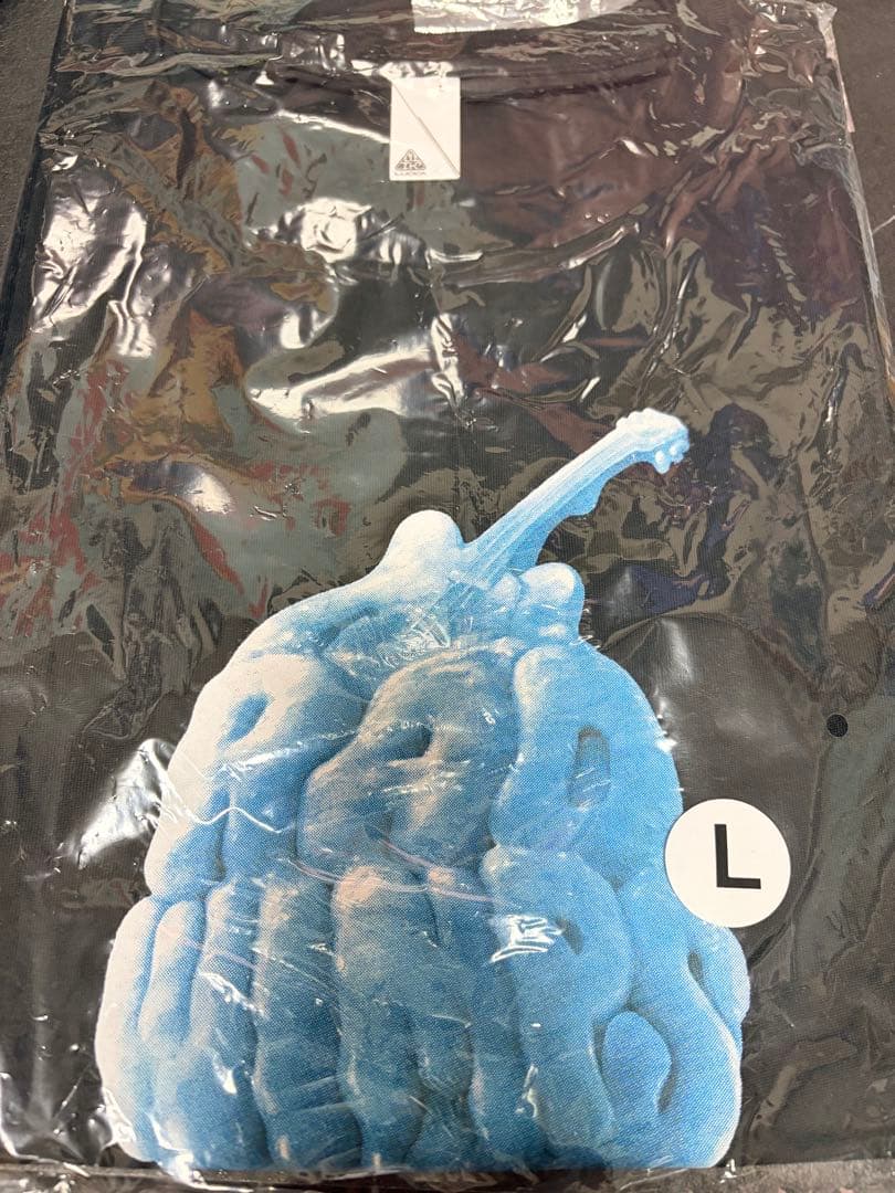 【新品未開封】Radwimps Tシャツ アイスTシャツ グッズ Lサイズ