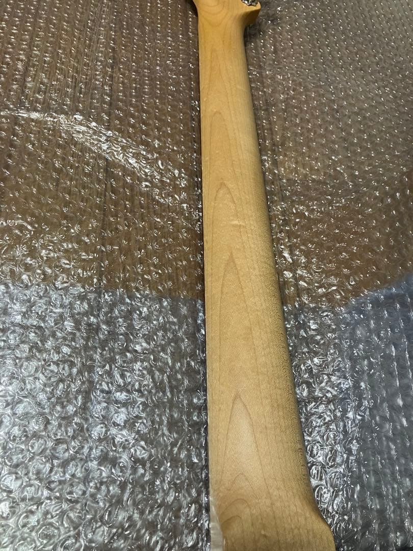 Momose MT1-STD/NJ DLPB テレキャスター　専用ソフトケース付