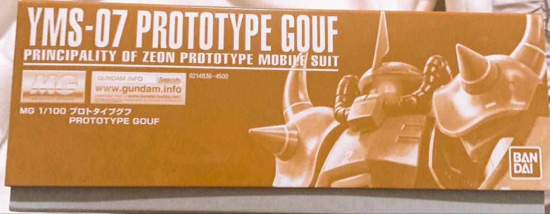 【PB限定】MG YMS-07 プロトタイプグフ