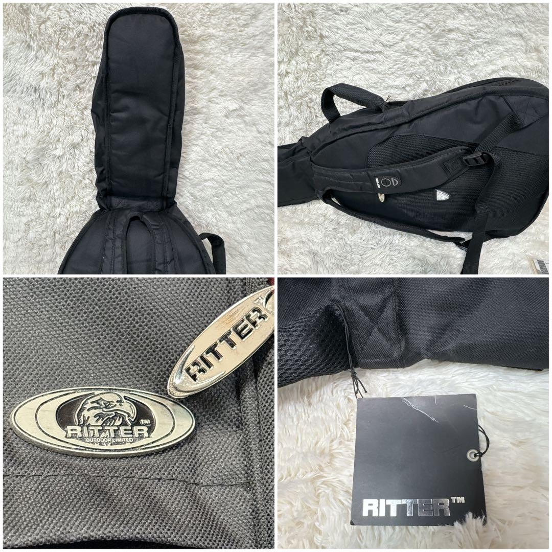 Aria アリア アコギ AF-25TBS ドレッドノート ケース付