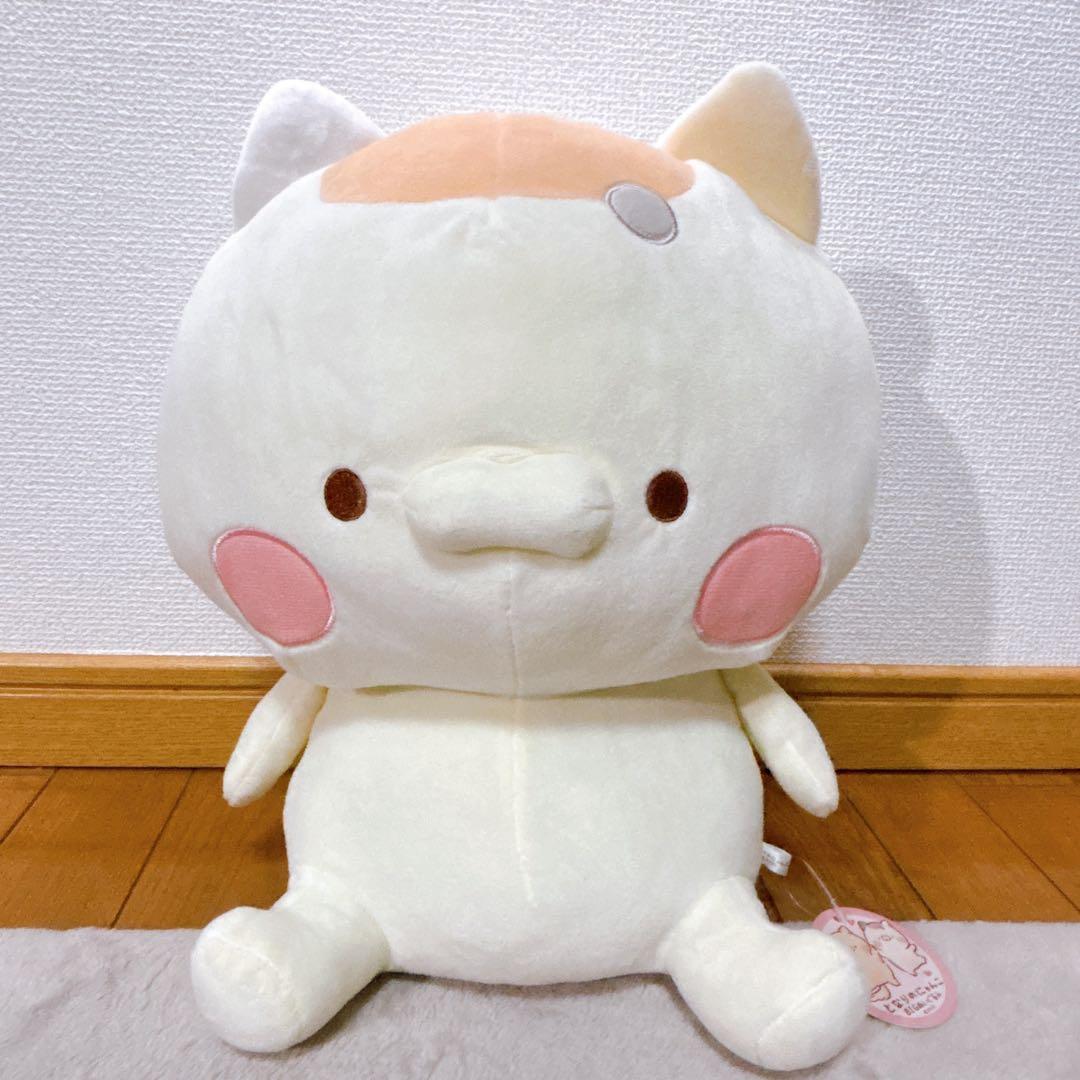 となりのにゃんこ BIGぬいぐるみ 2点セット