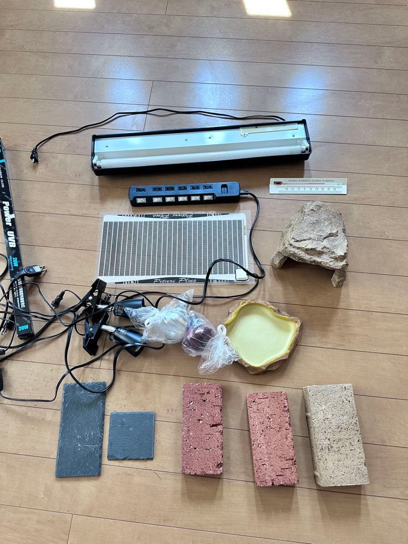 PANTHEON WHITE 6045 ガラスケース