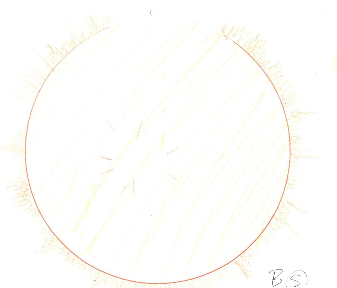 ドラゴンボール 孫悟空 直筆原画セット