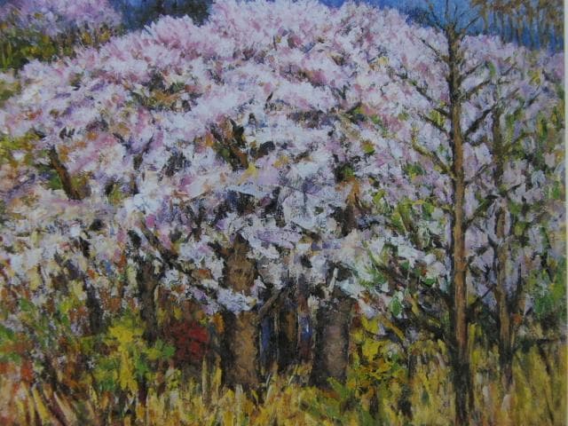 森田賢、【桜咲く】、希少な額装用画集より、状態良好、新品額装付