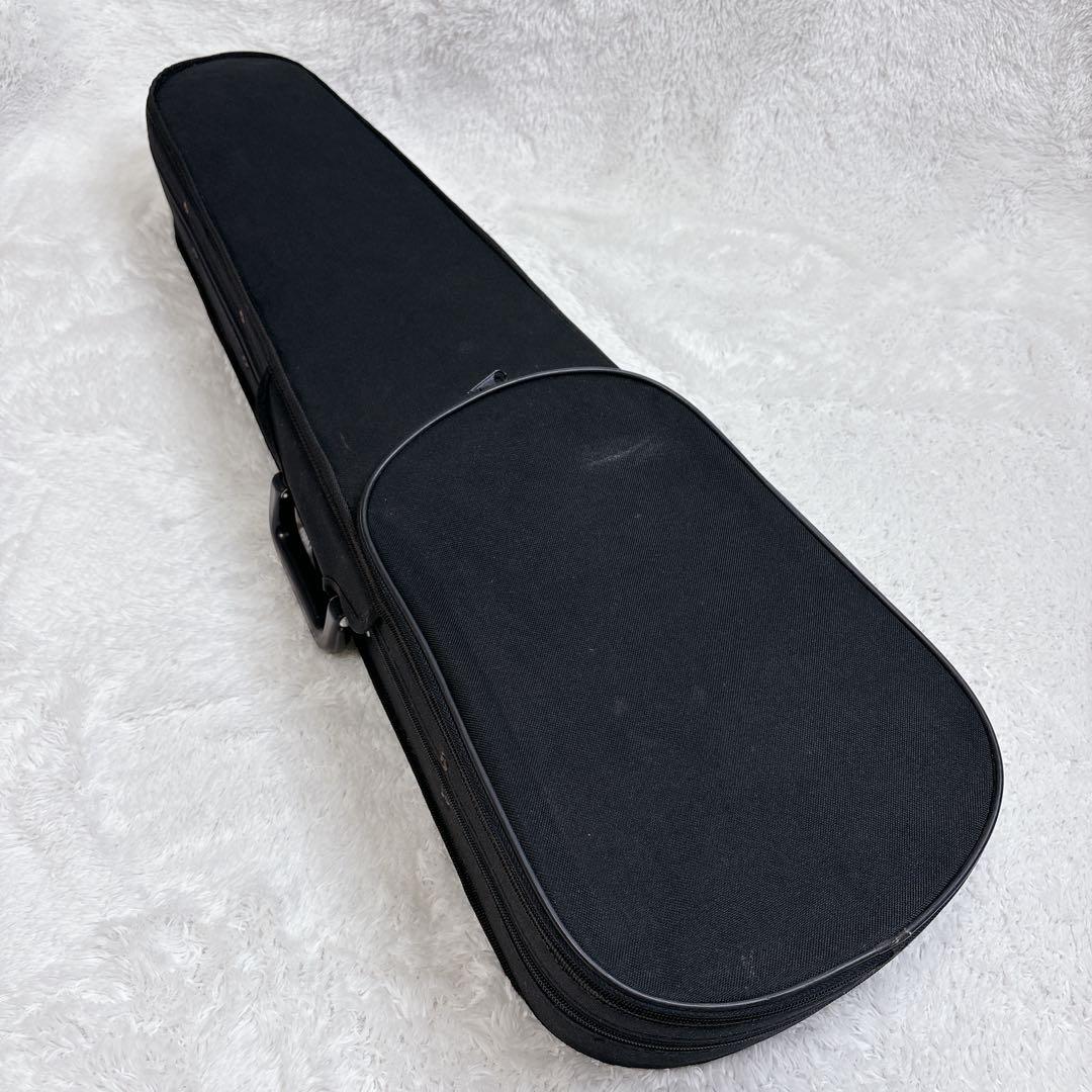 バイオリン 4/4 大人の初心者向け(ノーブランド)