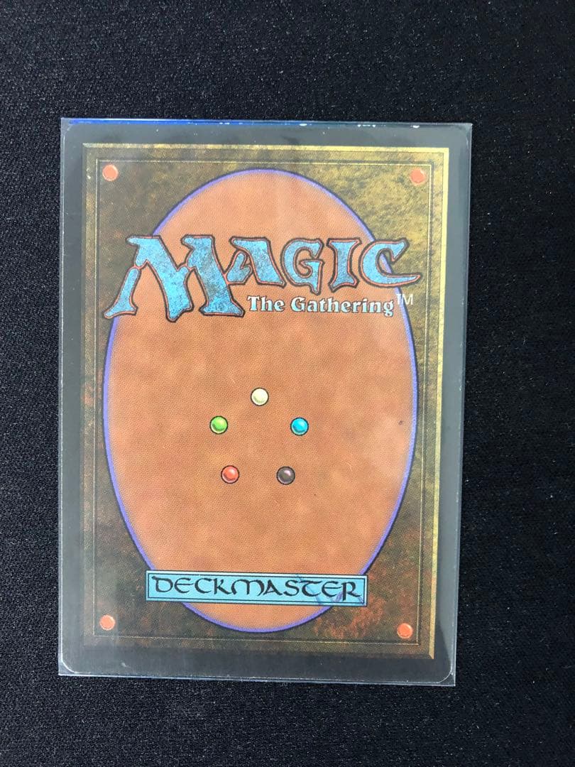 適者生存/Survival of the Fittest