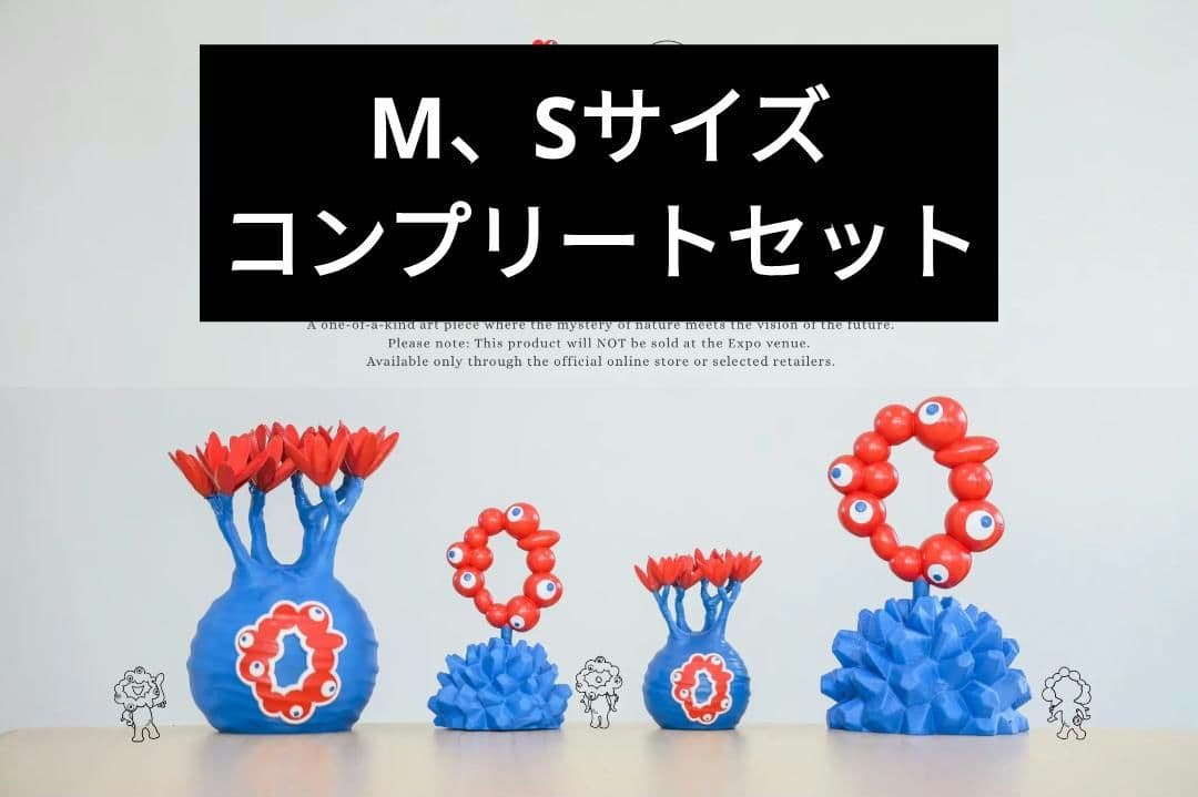 4点 LOBINDON ロビンドン ミャクミャク グラキリス 亀甲竜 塊根　万博