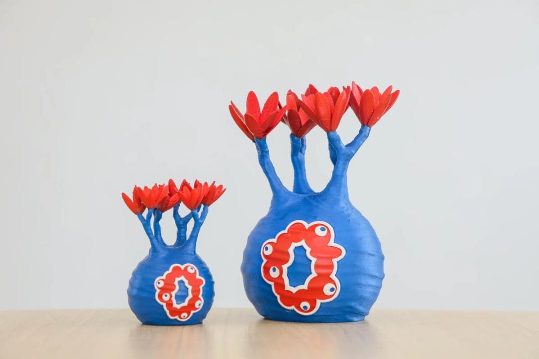 4点 LOBINDON ロビンドン ミャクミャク グラキリス 亀甲竜 塊根　万博