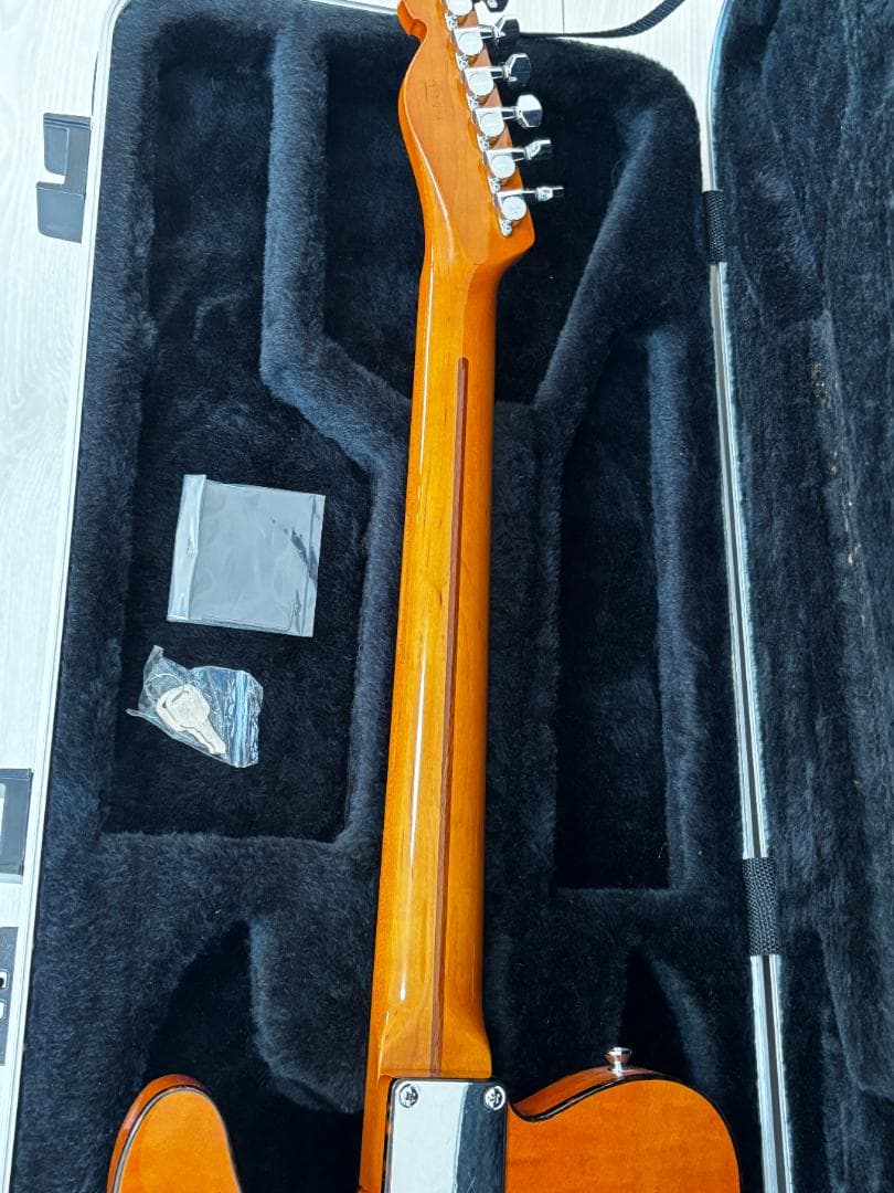 ギター H.S. ANDERSON HS-1 MAD CAT