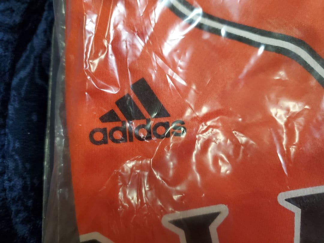 AKB48コラボジャビット　読売ジャイアンツユニホーム２枚