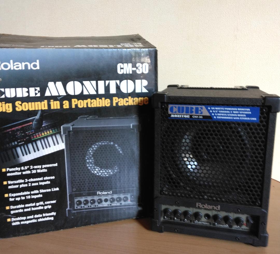 Roland CUBE CM-30 モニター