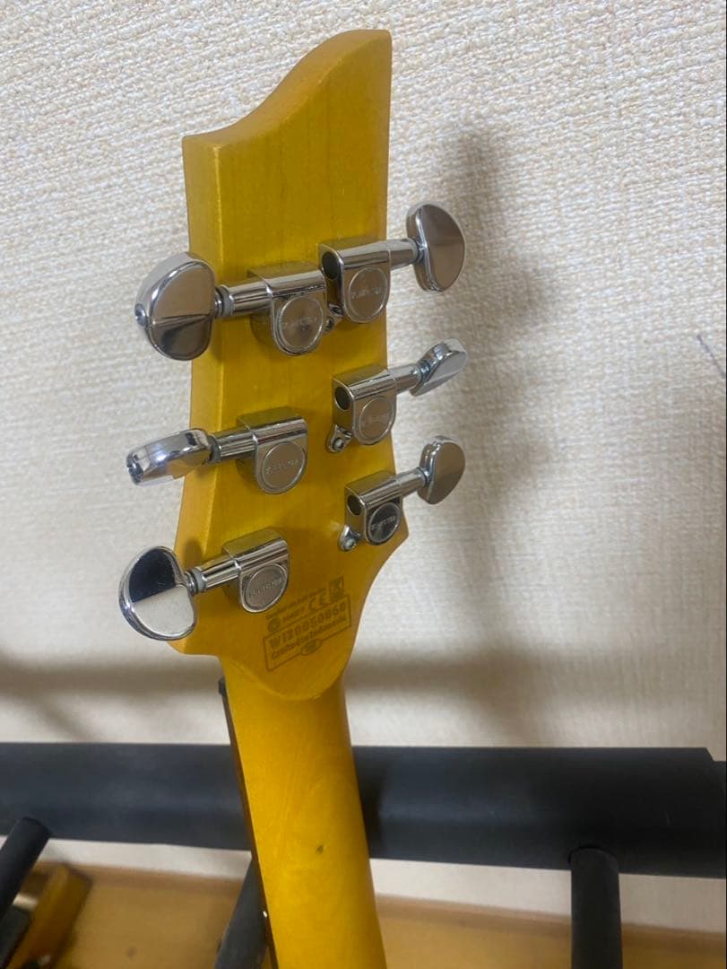 かいかい　schecter C-6 Deluxe LH