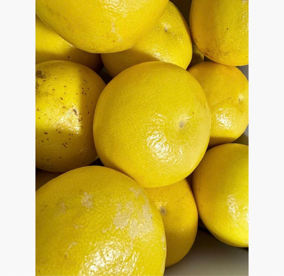 ⑳高知特産 露地栽培 土佐文旦 4L限定 文旦 約20kg 大玉 サイズ