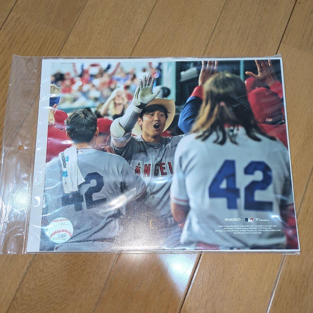 【新品、未開封】《 米国fanatics社 》『大谷 翔平選手』フォト