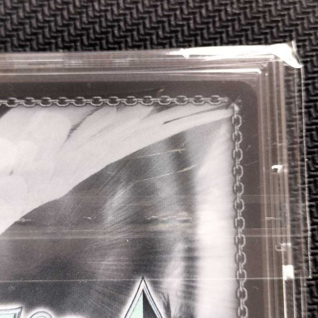 ヴァイスシュヴァルツ アーリャ SP