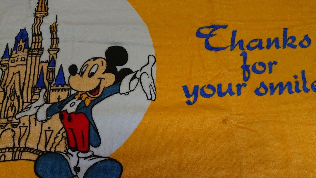東京ディズニーランドキャスト限定サンクスデー1992年1993年タオル非売品