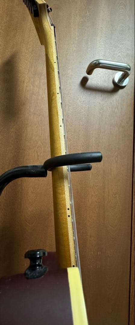 ギター Ibanez RGEW521ZC NTF