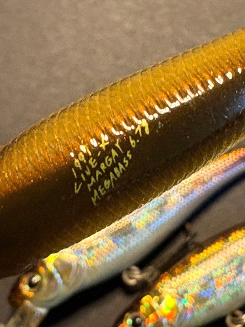 【MEGABASS】LIVE-X MARGAY 6個セット