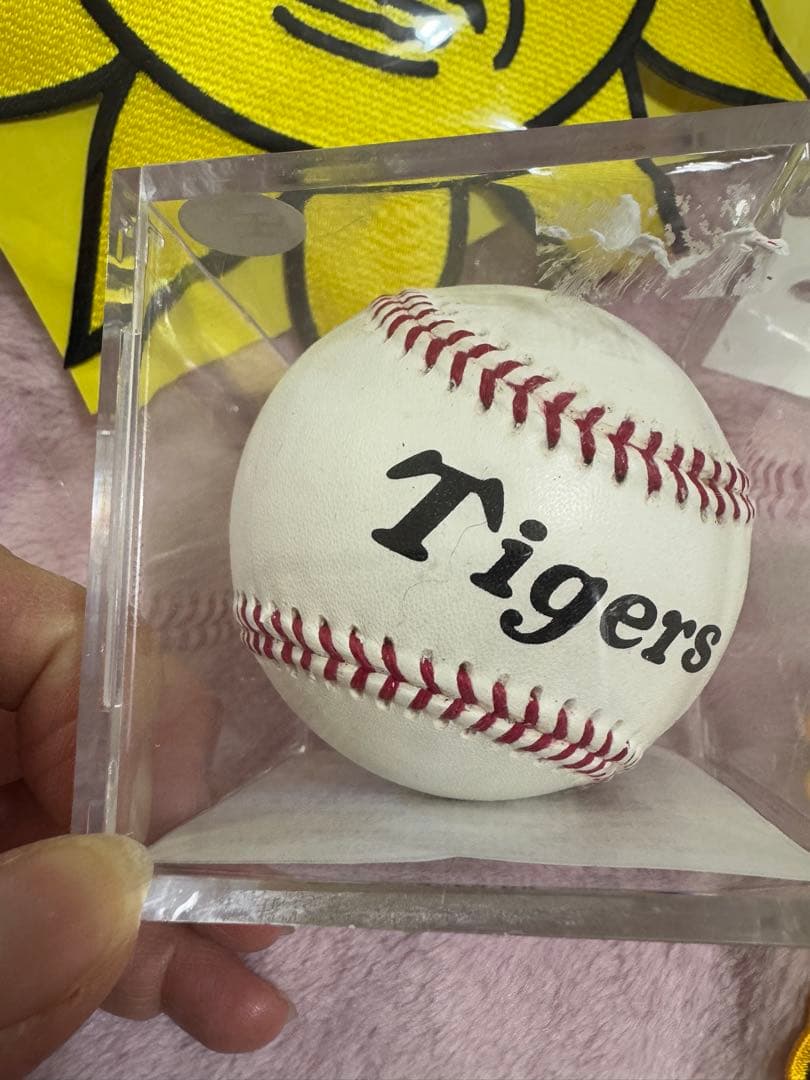 タイガース公式グッズセット