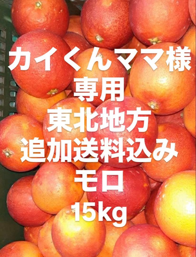 カイくんママ　東北地方　愛媛県産　ブラッドオレンジ　柑橘　10kg