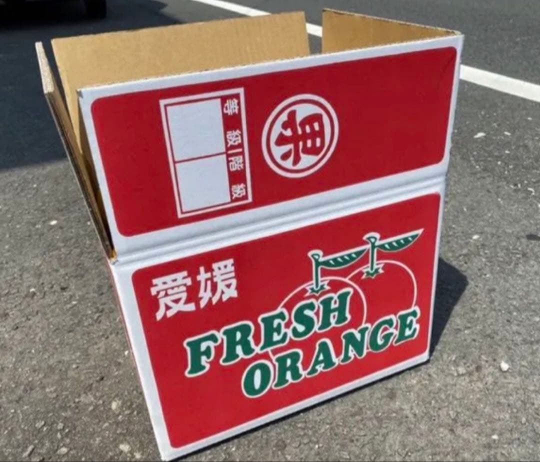 カイくんママ　東北地方　愛媛県産　ブラッドオレンジ　柑橘　10kg