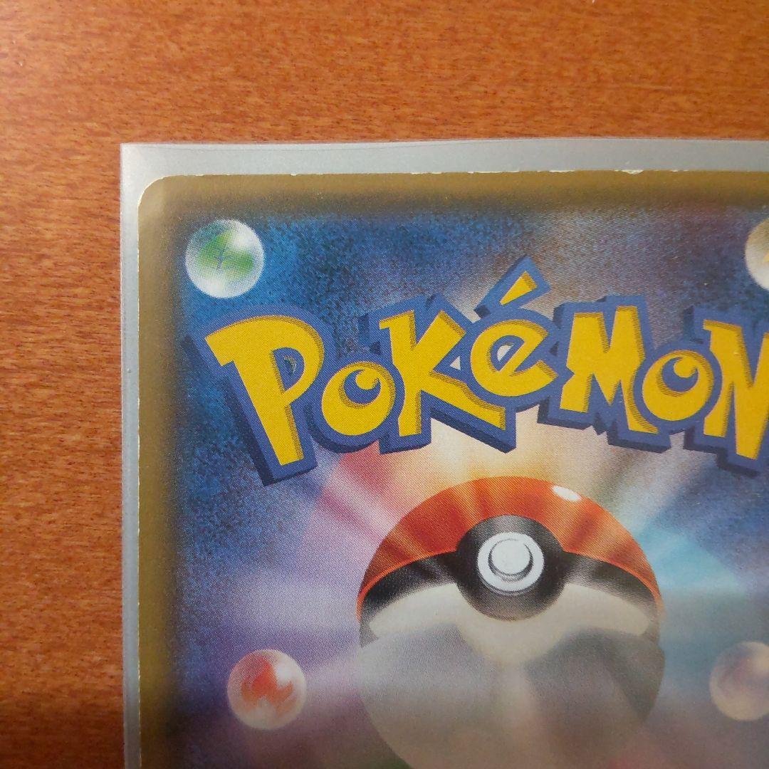 ポンチョを着たイーブイ（ブラッキー）