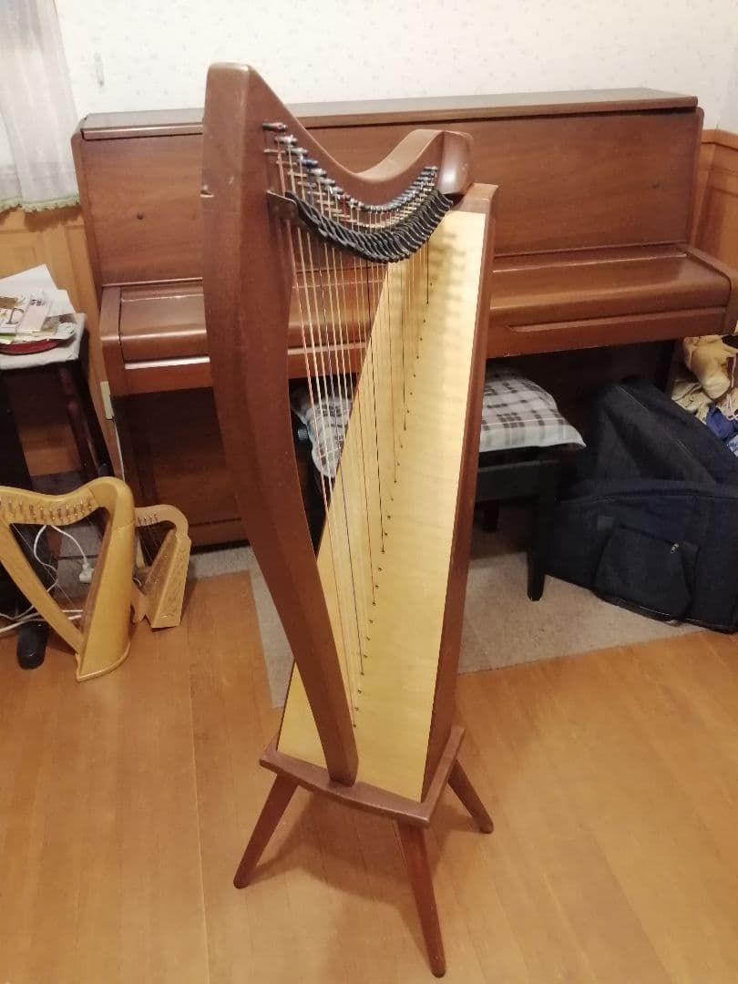 ダスティストリングス アレグロ　ハープ 本体