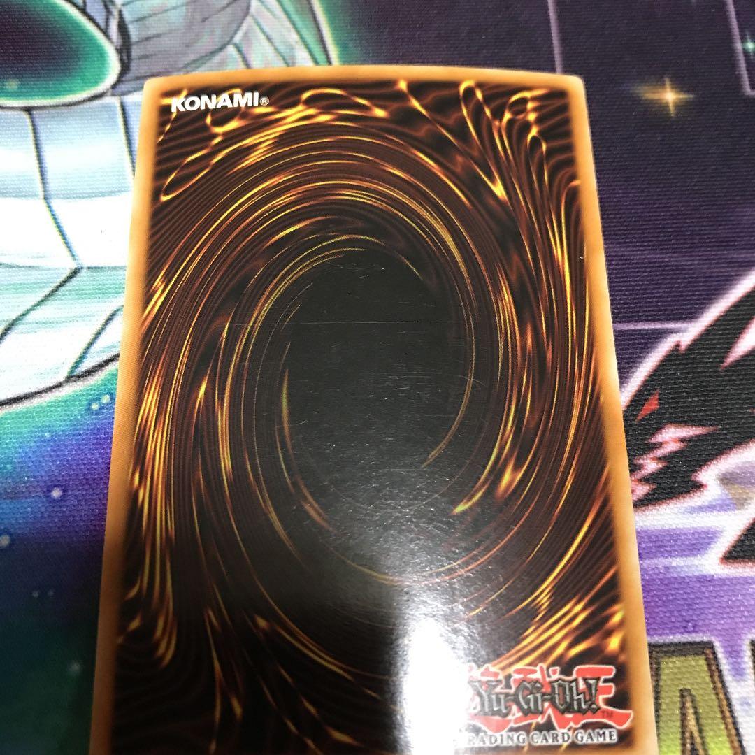 遊戯王 ブラック・ローズ・ドラゴン　フランス語　シークレット