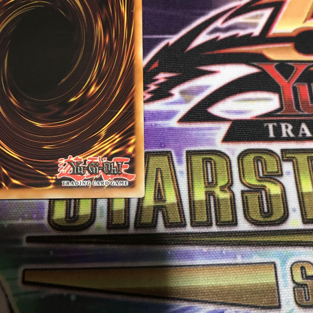 遊戯王 ブラック・ローズ・ドラゴン　フランス語　シークレット