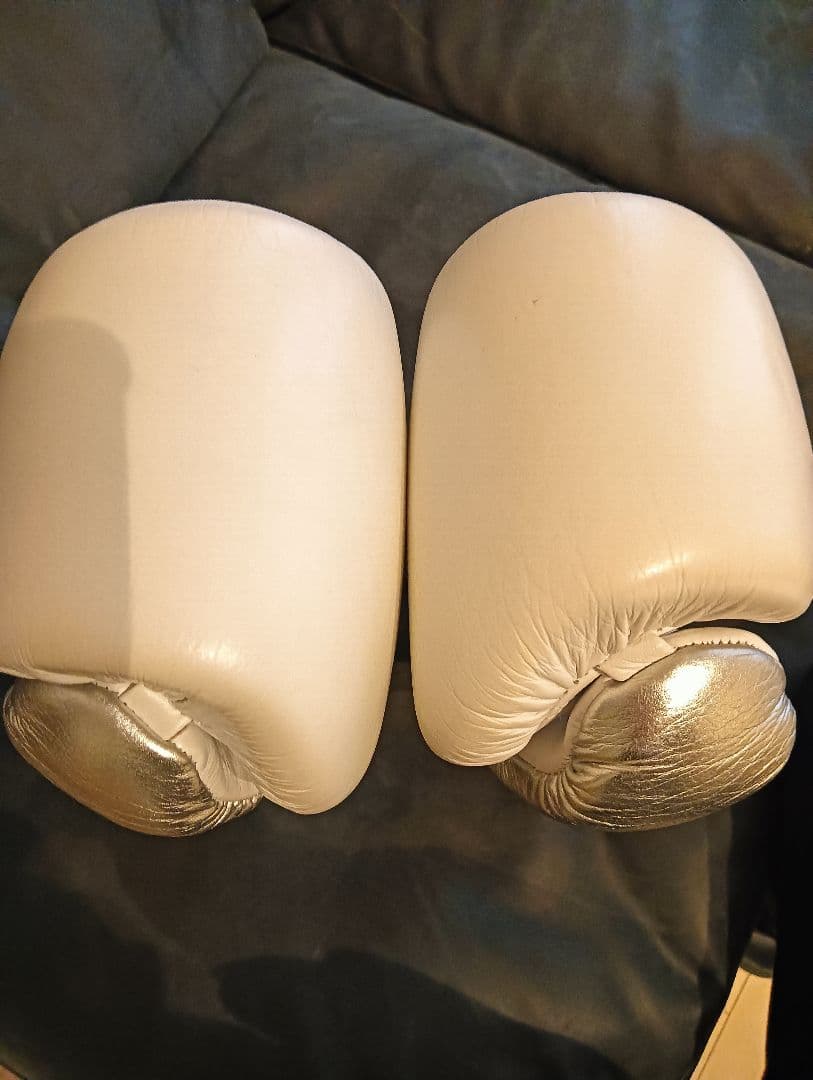 PRIZE RING 本革　プロフェッショナル ボクシンググローブ 14オンス