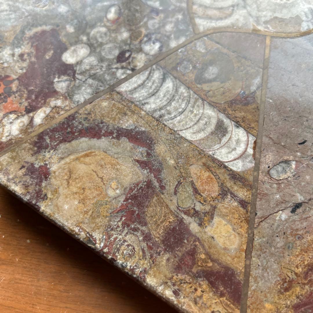 レア　アンモナイト　化石　八角形石製置物 約32.5cm