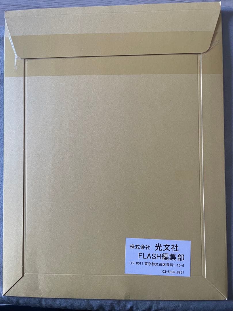 日向坂46 富田鈴花 写真集 特製アザーカットミニブック写真集　未開封