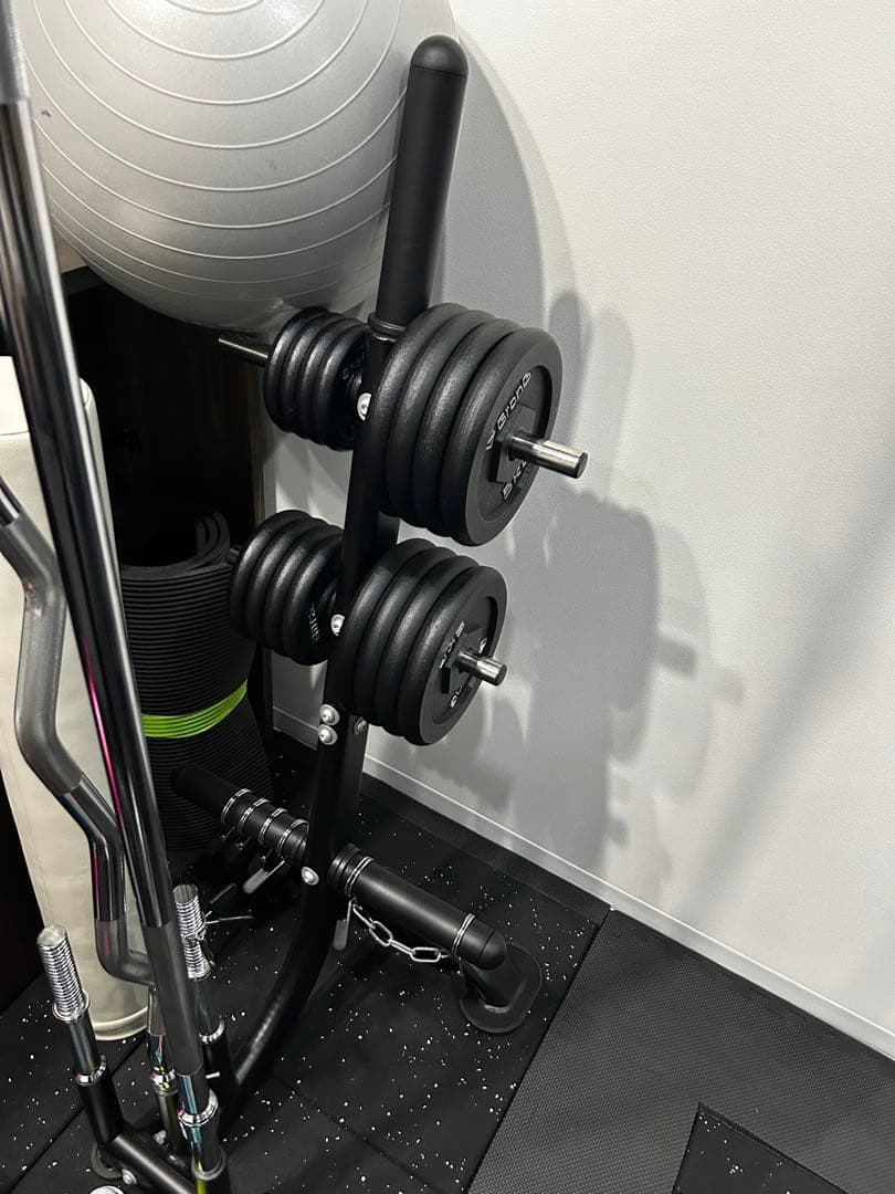 たま　IROTEC ダンベルプレート 10kg 15kg 33lbs