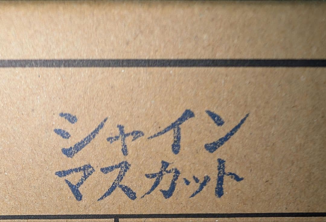山梨県産ぶどう　シャインマスカット　7房入り　箱込み約5.2kg