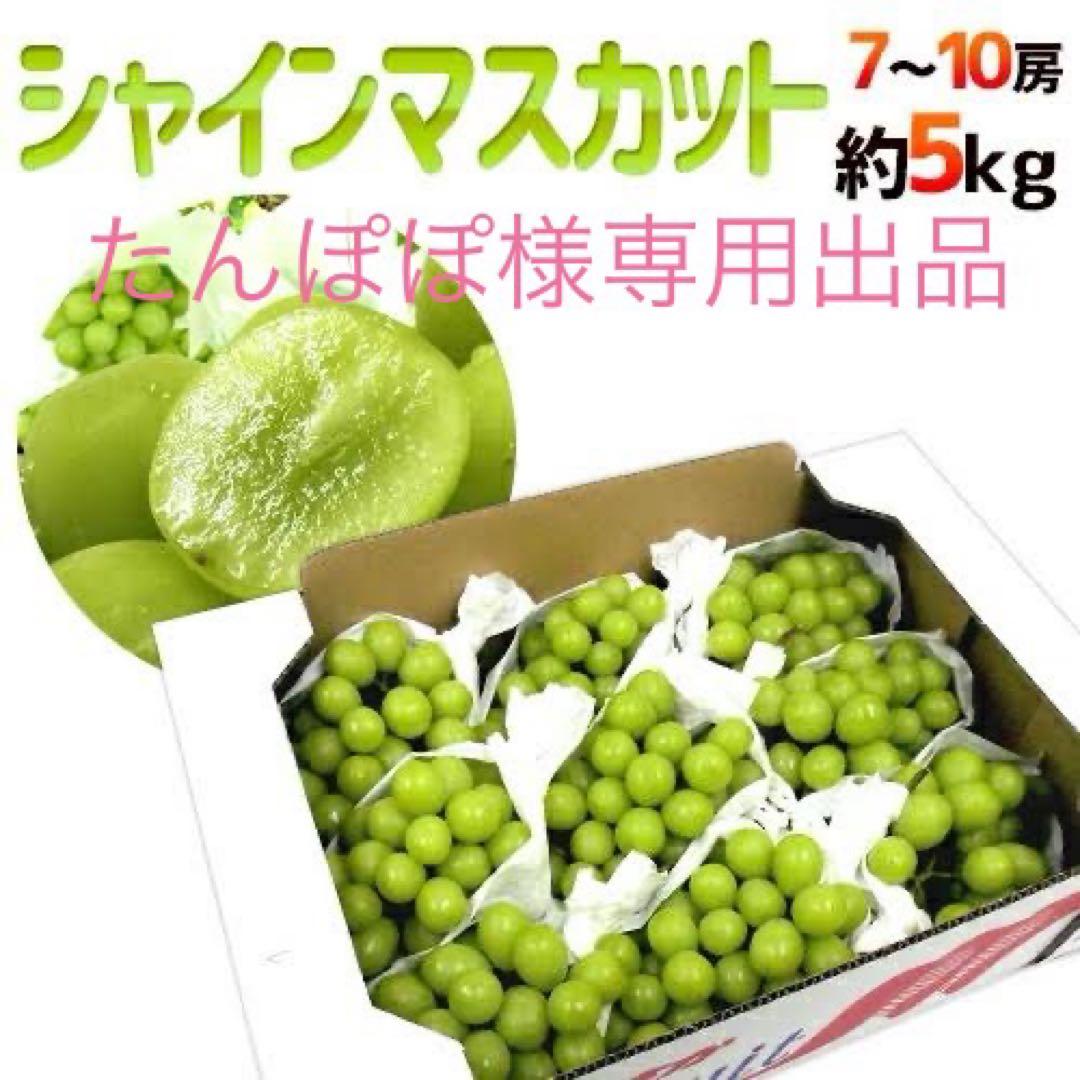たんぽぽ出品【5kg】高級シャインマスカット” 甘い
